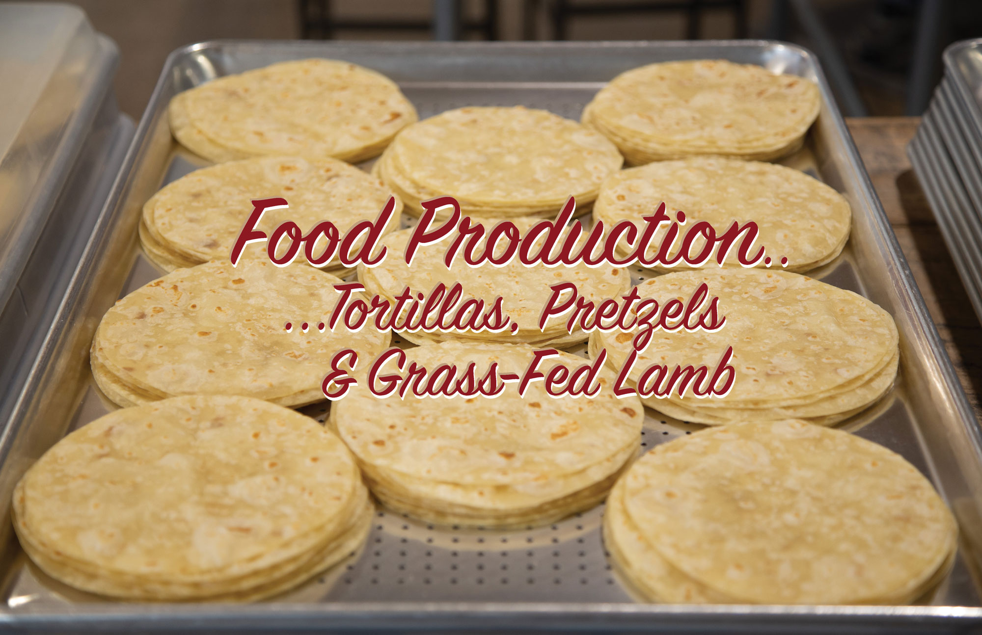  Food Production – Tortillas, Pretzels & Grass-Fed Lamb 