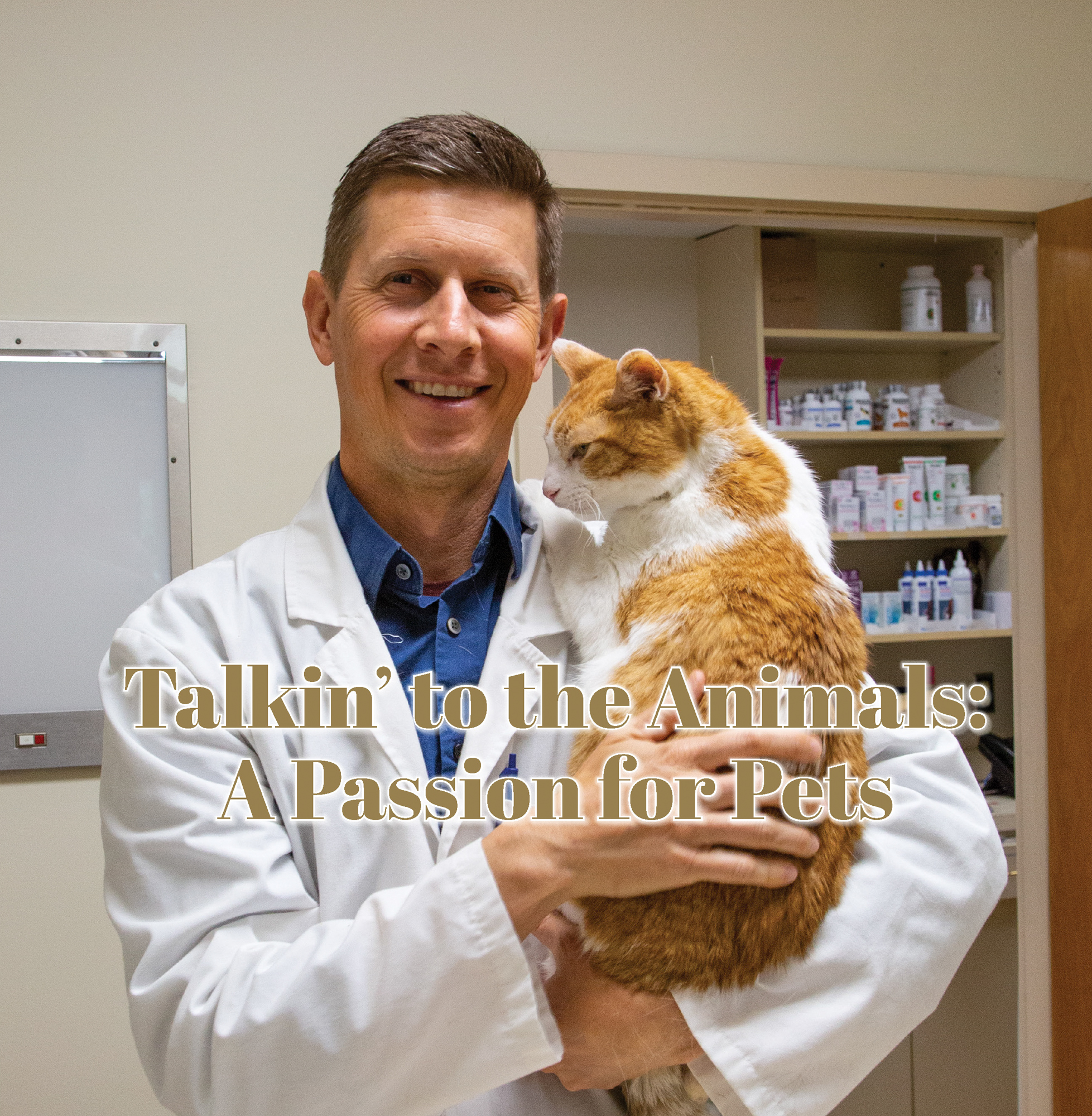 Common Questions: FAQS – Animal Clinic, Animal Doctor