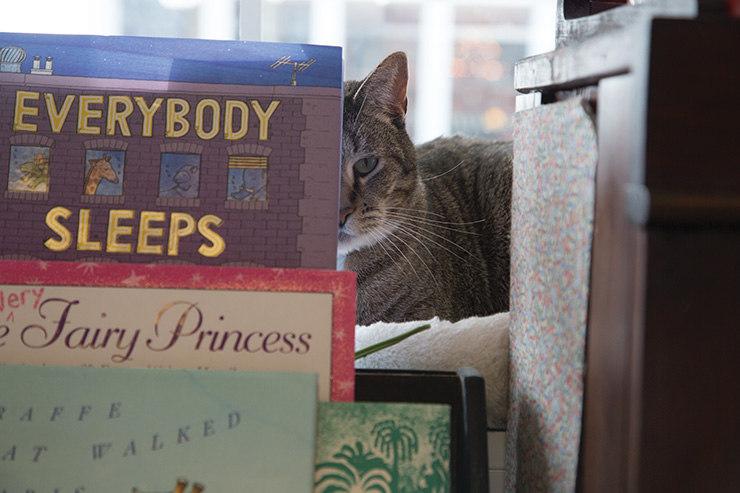 Downtown Pets