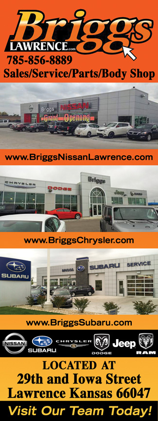 Briggs Auto 2016Q4