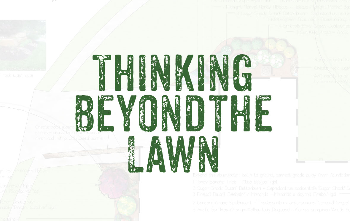 Thinking Beyond the Lawn 