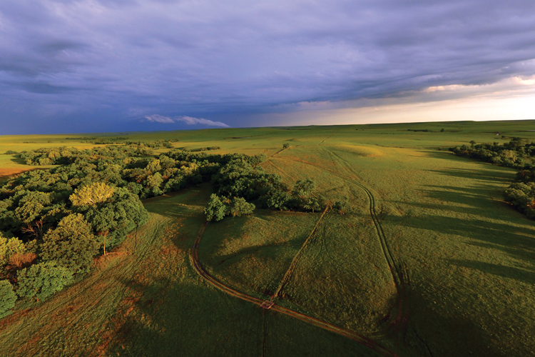  Butterflies, Birds, Prairie & Preservation 