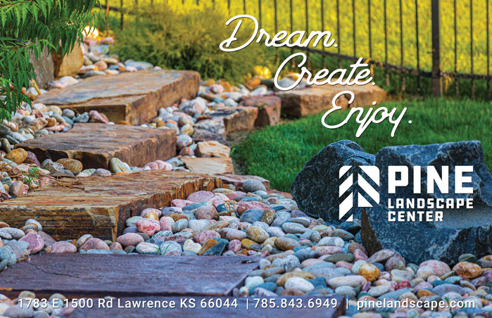 Pine Landscape 2022Q1